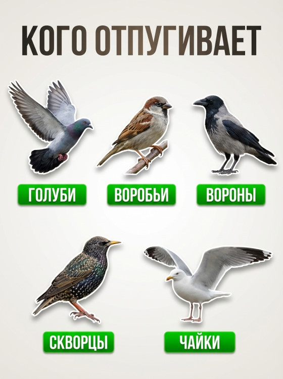 Шипы от птиц Jinshi (3 метра, 6 секций по 50 см)
