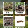 Отпугиватель змей Торнадо БОЗ.02